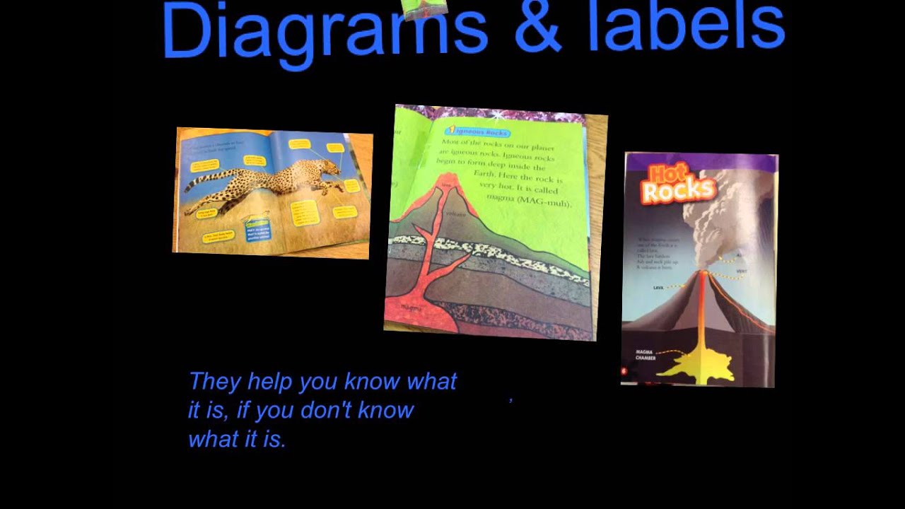 video phone beyonce mp3 Informational Texts by Hunter & Rodrigo