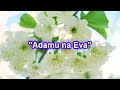 01 Adamu Na Eva By ABATWARAMUCYO Choir Rutabo SDA 01 Adamu Na Eva By ABATWARAMUCYO Choir Rutabo SDA