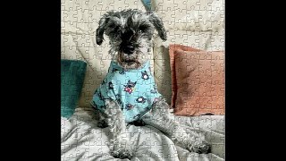 Jigsaw Puzzle History