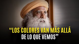 "El SIGNIFICADO de los COLORES para un buscador espiritual" | Sadhguru en español Net Worth
