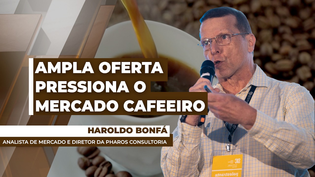 Entrada da safra/26 brasileira no mercado deve ocasionar novo movimento de queda