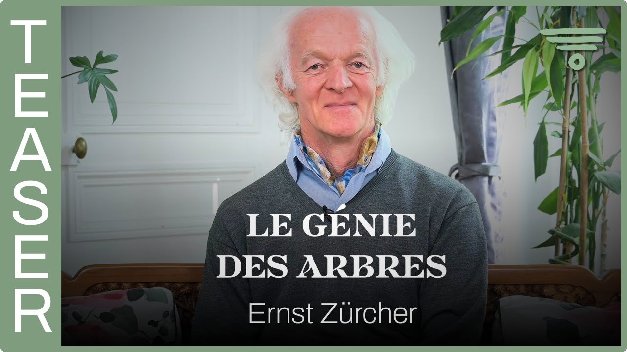 Le génie des arbres par Ernst Zürcher – Teaser officiel