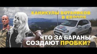 Каникулы Ботаников. Балканы. Серия №12.