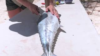 Spanish Mackerel Cook up - 3 Ways - BCF