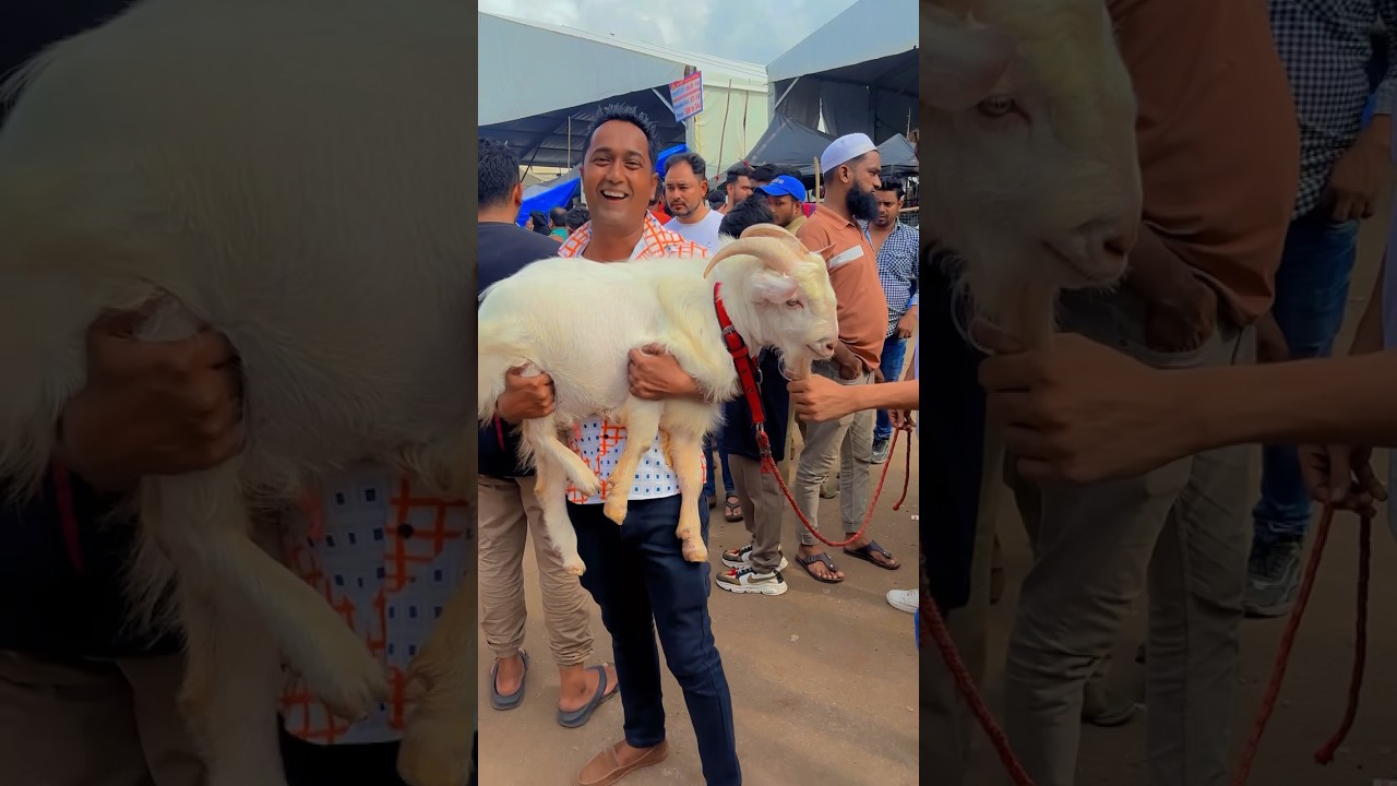 Chalo Chalo Mandi Chalo🐐 