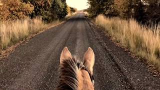 ASMR Horses Hooves On Dirt Road Creaking Saddle Leather Sunset Wide Open Country Horseback Riding