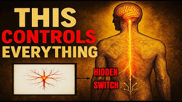 Neuroscience Accidentally Found the Switch That Controls Success