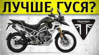 Честный обзор Triumph Tiger 1200 GT и Rally