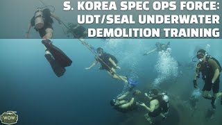 S.Korea UDT/SEAL Infiltration & Demolition Training in RIMPAC 2016