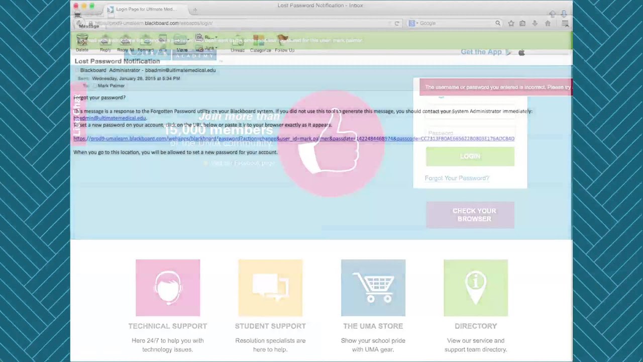 How To Reset Your UMA Online Classroom Blackboard LMS Password YouTube