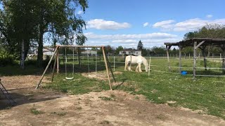 Le Cottage de Romas, Villeneuve-sur-Lot, France | Travel With Kavya