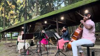 Air by Bach | Radiant Strings Quartet