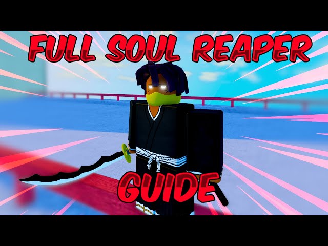 Soul Reaper, Project Mugetsu Wiki