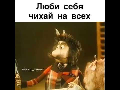 Люби себя чихай на всех - YouTube