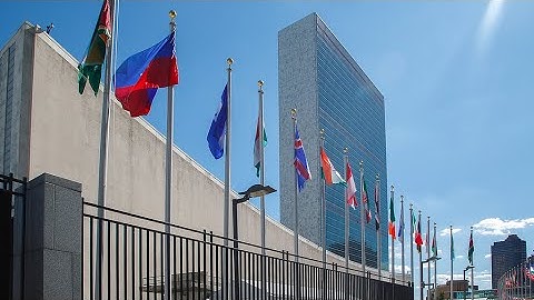 President Xi calls for upholding multilateralism, defend UN-centered intl system