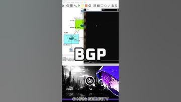 BGP (Border Gateway Protocol) How the INTERNET Works