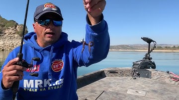 Lov okounů na rosnici na jigové hlavě.  | sumci.com