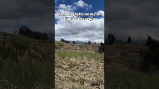 Esto pasó en un Páramo de Ecuador. #viaje #ecuador #delarutaalatinta #chimborazo #naturaleza