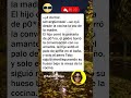 🐕 Solo el perro era inocente #chistes #bromas #comedia #risas #divertido #humor #españa