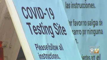 Coronavirus In Texas: Dallas Sees Decline In COVID-19 Tests