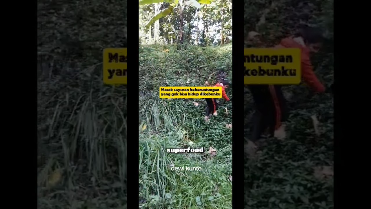 masak sayur keberuntungan #tipsberkebun #jamur#jamurbarat #gardening #garden #fyp