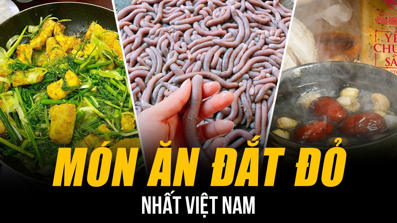 NHỮNG MÓN ĂN ĐẮT ĐỎ NHẤT VIỆT NAM | GIÁ CẢ TRĂM TRIỆU ĐỒNG - TRỨNG CÁ TẦM CHƯA PHẢI LÀ ĐẮT NHẤT