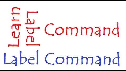 Logo (Label Command) - Writing  on MSW Logo main Screen | logo for class 3 class 4 class 5