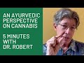 And ayurvedic perspective on cannabis 5 minutes with dr  robert