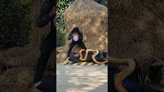 sleeping grandpa vs fake snake prank!🤣 #Shorts
