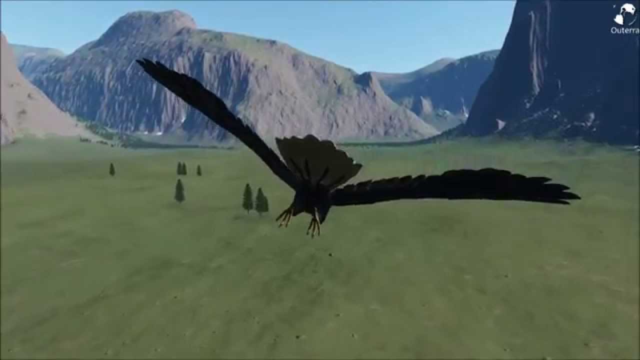 Eagle In Yosemite