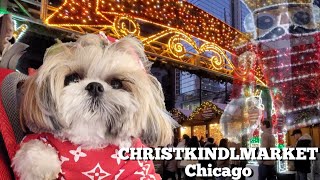 The Only Dog to Attend German Christmas Market in Chicago