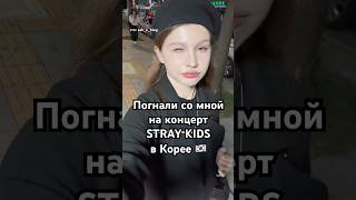 1/3 кпоп гештальта закрыта. EXO и BTS, вы следующие 😎 #корейцы #корея #кпоп #стрейкидс #straykids