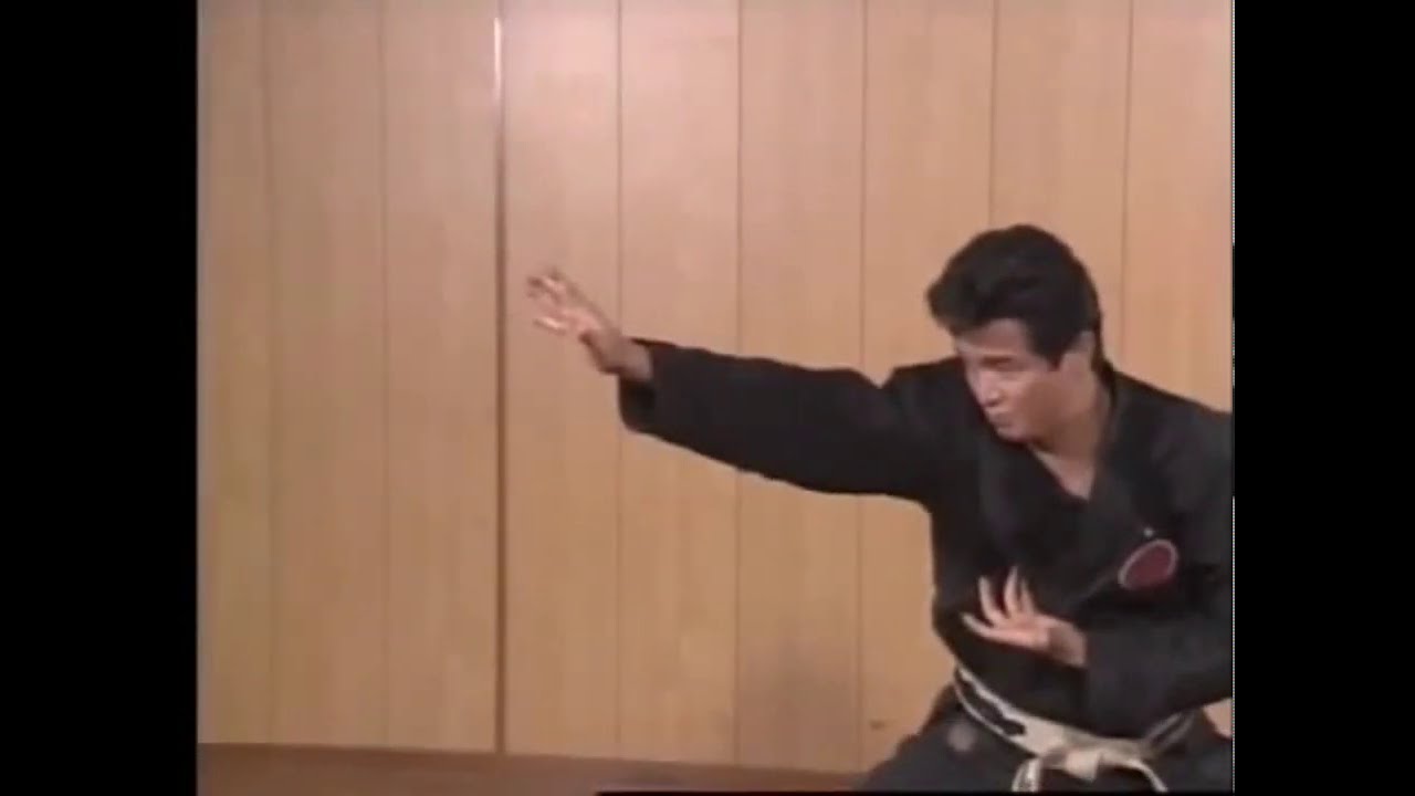 くきしでん竜Kukishiden Ryu by Soke Masaaki Hatsumi!Yoroi(yari) and hanbo! Do PLEASE enjoy and #WeStaySafe