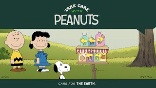 Take Care with Peanuts: Choose to Reuse