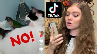 REACTING TO BIRD TIKTOKS PART 2