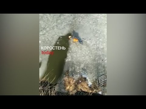 YouTube player