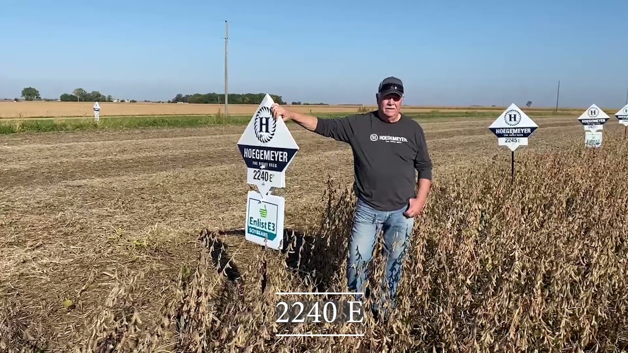 Regional Product Advantage: Hoegemeyer brand 2241 E