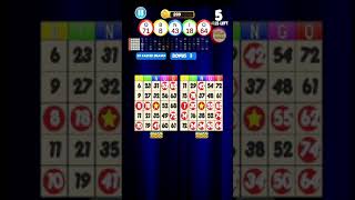 Bingo: New Free Cards Game Vegas and Casino Feel screenshot 5