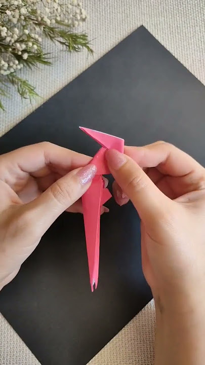 Origami DIY Kits – Origami World