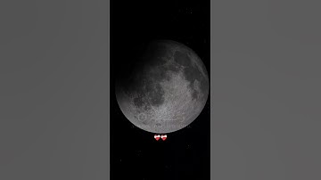 من اجمل ما سمعت سورة القيامة 🌺🌺