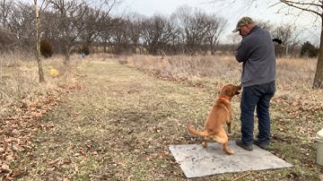 Ares Mark After Force Fetch