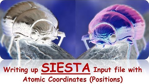 Lecture8 Materials Modelling & Simulation Writing up SIESTA input file