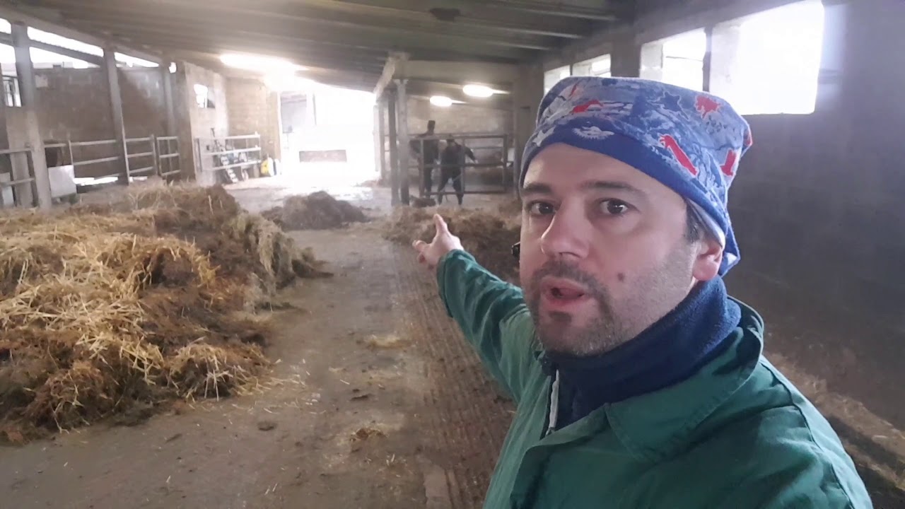 LETTIERA IN PAGLIA: esempio gestione e pulizia