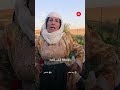 عين العرب تحيي تراث جرش القمح