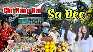 Toàn Cảnh Cầu Sa Đéc Làng Hoa Sa Đéc 2026 Câu Chuyện Tình Buồn Về Chợ Nàng Hai Đồng Tháp Mùa Cá Xổ