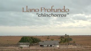 LLANO PROFUNDO: CHINCHORROS. Hamacas de moriche, queso llanero, aljibes, mujer artesana venezolana