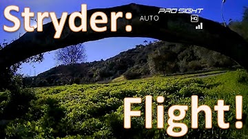 Anomaly Drones Stryder with ProSight: Flight!