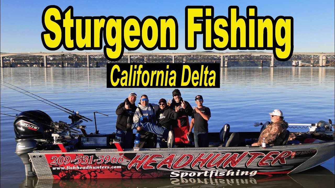 Sturgeon Fishing California Delta Style