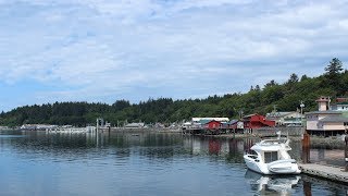 Whale Tails And Small Islands