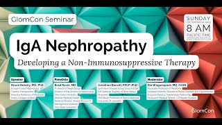 IgA Nephropathy: Developing a Non-Immunosuppressive Therapy